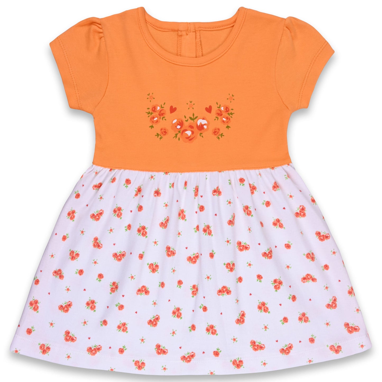 Baby Girls Floral Print A-Line Frock Dress With Brief