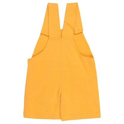 Boys T-shirt and Dungaree
