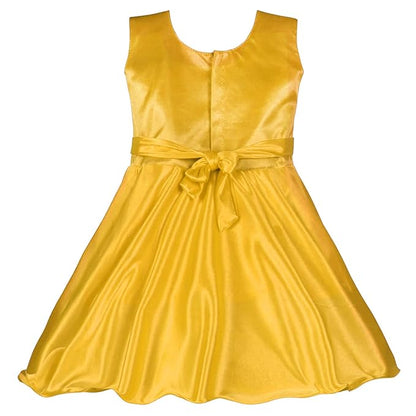 Jivzo Baby Girls Frocks Dress