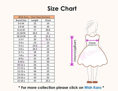 Premium Baby Girls Birthday Dresses Online | Girls Knee-Length Dress