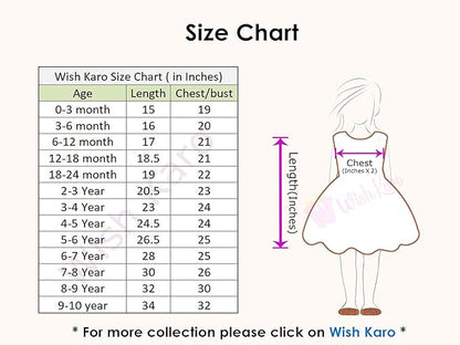 Jivzo Baby Girls Frocks Dress for Girls-(csl244)