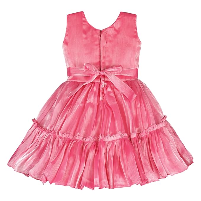 Girls Knee Length Net Floral Party Dress