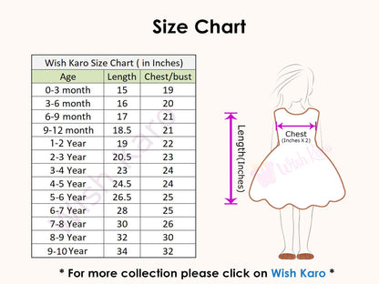 Party Wear Ethnic Dresses for Girls