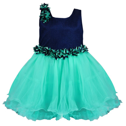 Baby Girls Party Wear Frock Dress Fr1006sg -  Wish Karo Dresses