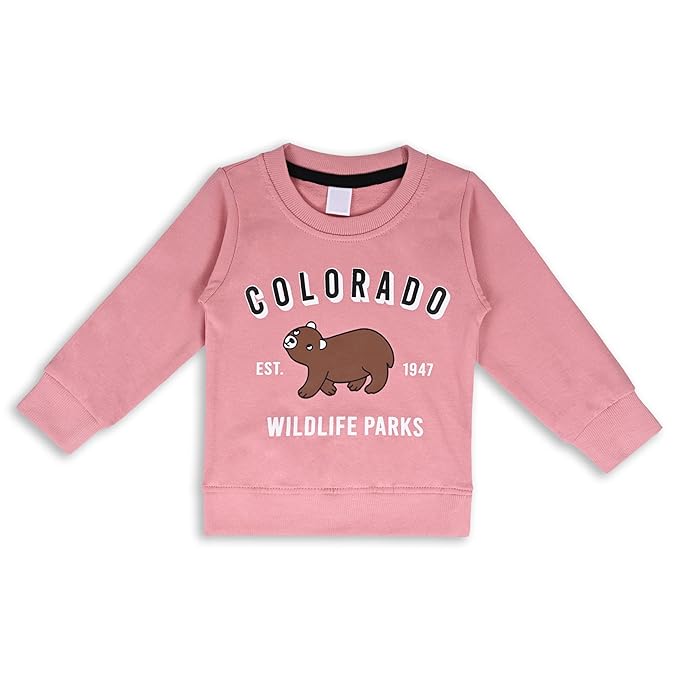 Buy Unisex Cotton Sweatshirt Online | Best Sweatshirt for Boys | Buy two Kids Sweatshirts Under 599