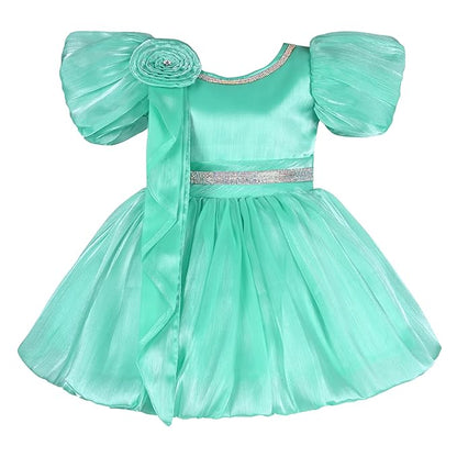Rhinestone Floral Embellished Balloon Party Dress