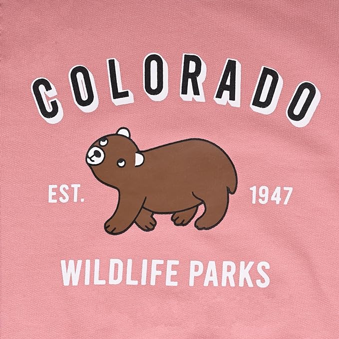 Buy Unisex Cotton Sweatshirt Online | Best Sweatshirt for Boys | Buy two Kids Sweatshirts Under 499