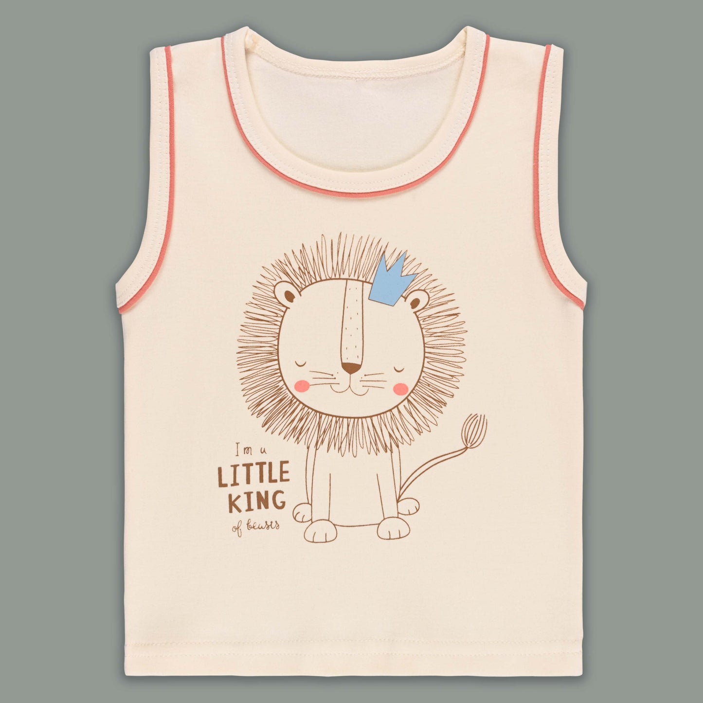Boys Printed Cotton Tshirt and Shorts Set