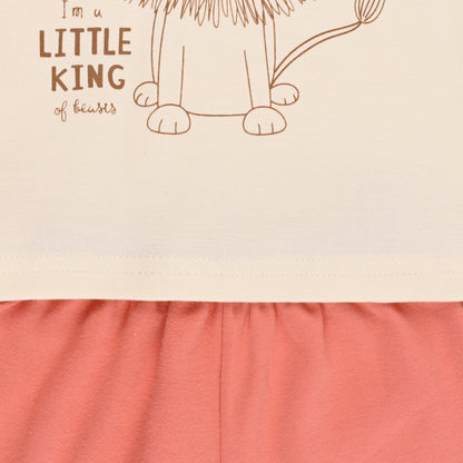 Boys Printed Cotton Tshirt and Shorts Set
