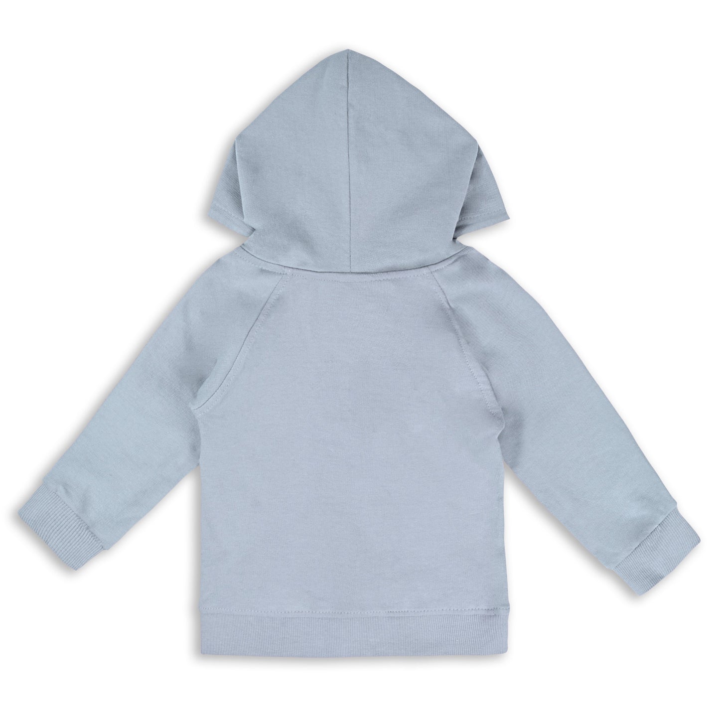 Buy Grey Unisex Cotton Sweatshirt | Best Hoodies for Baby Boys Online | Kids Hoodies Under 599