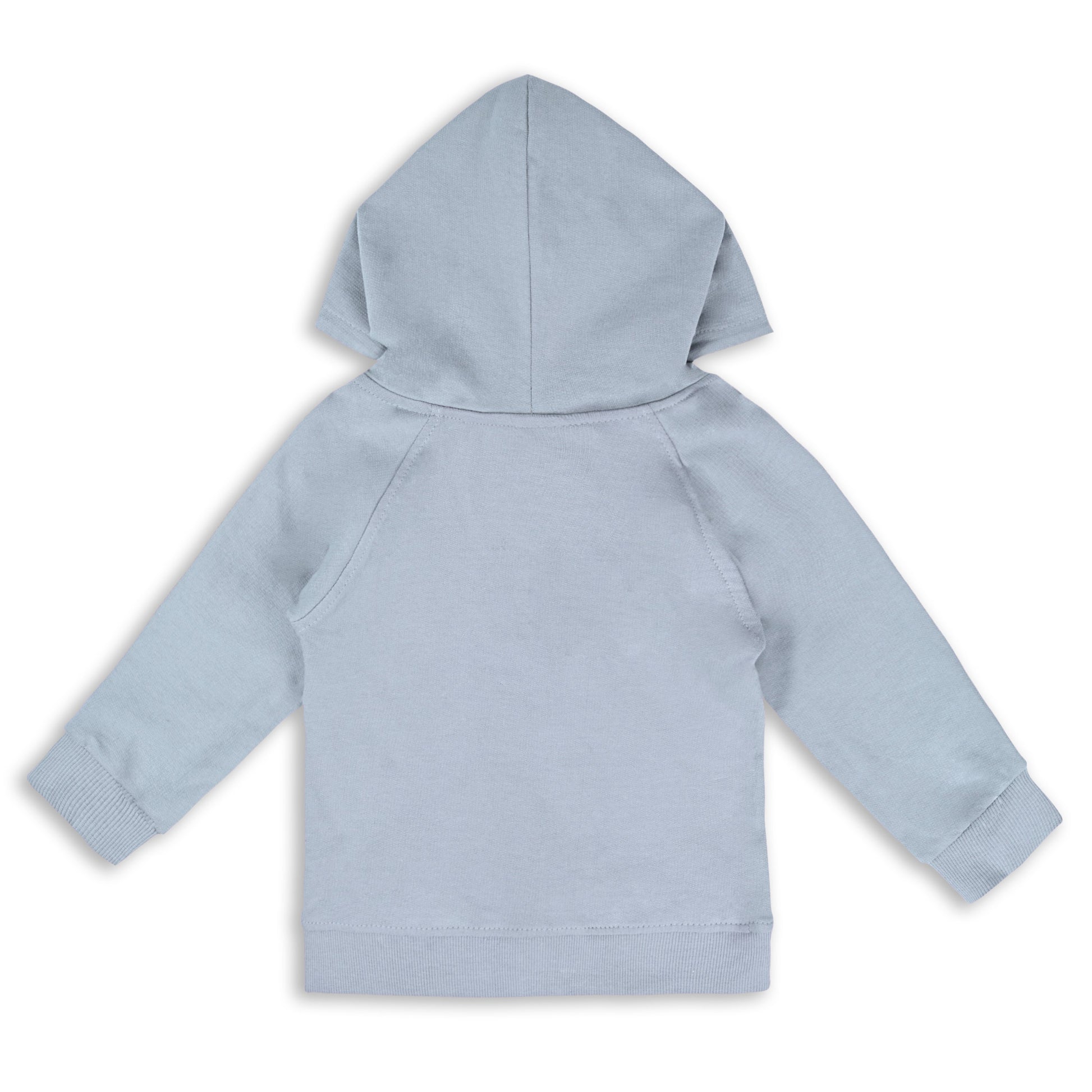 Buy Grey Unisex Cotton Sweatshirt | Best Hoodies for Baby Boys Online | Kids Hoodies Under 599