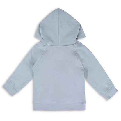 Buy Grey Unisex Cotton Sweatshirt | Best Hoodies for Baby Boys Online | Kids Hoodies Under 599
