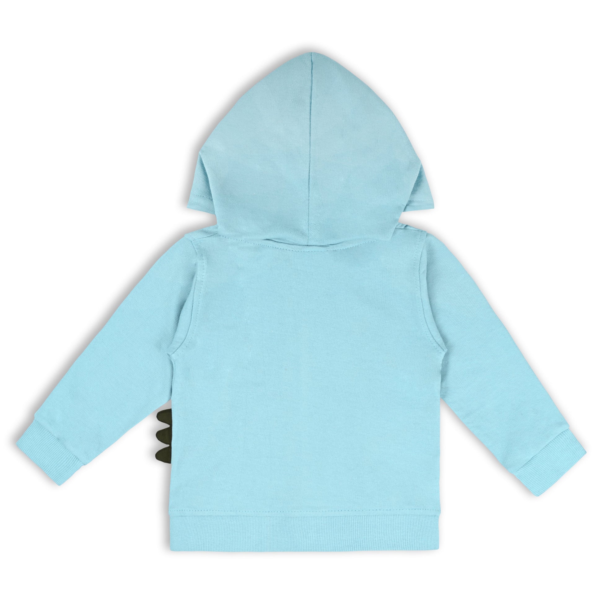 Buy Unisex Cotton Sweatshirt Online | Best Hoodies for Boys | Kids Hoodies Under 599