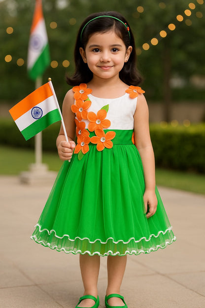 Girls Floral Applique Tricolor Republic Day Special Dress