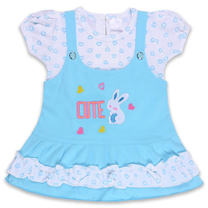 Baby Girls Printed A-Line Frock Dress With Brief