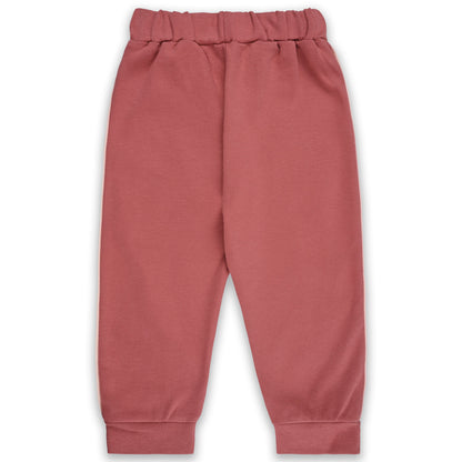 Baby Boys T-Shirt With A Printed Deign And Solid Pant