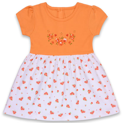 Baby Girls Floral Print A-Line Frock Dress With Brief
