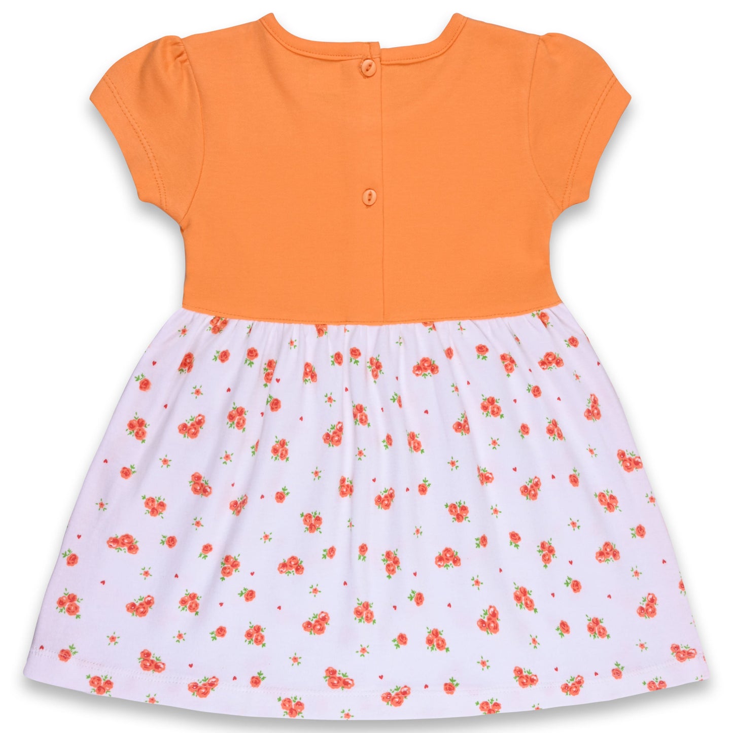 Baby Girls Floral Print A-Line Frock Dress With Brief