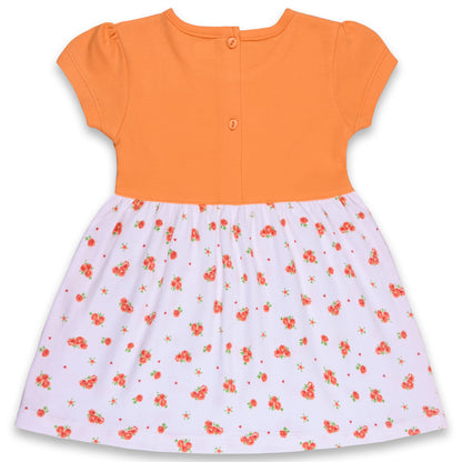 Baby Girls Floral Print A-Line Frock Dress With Brief