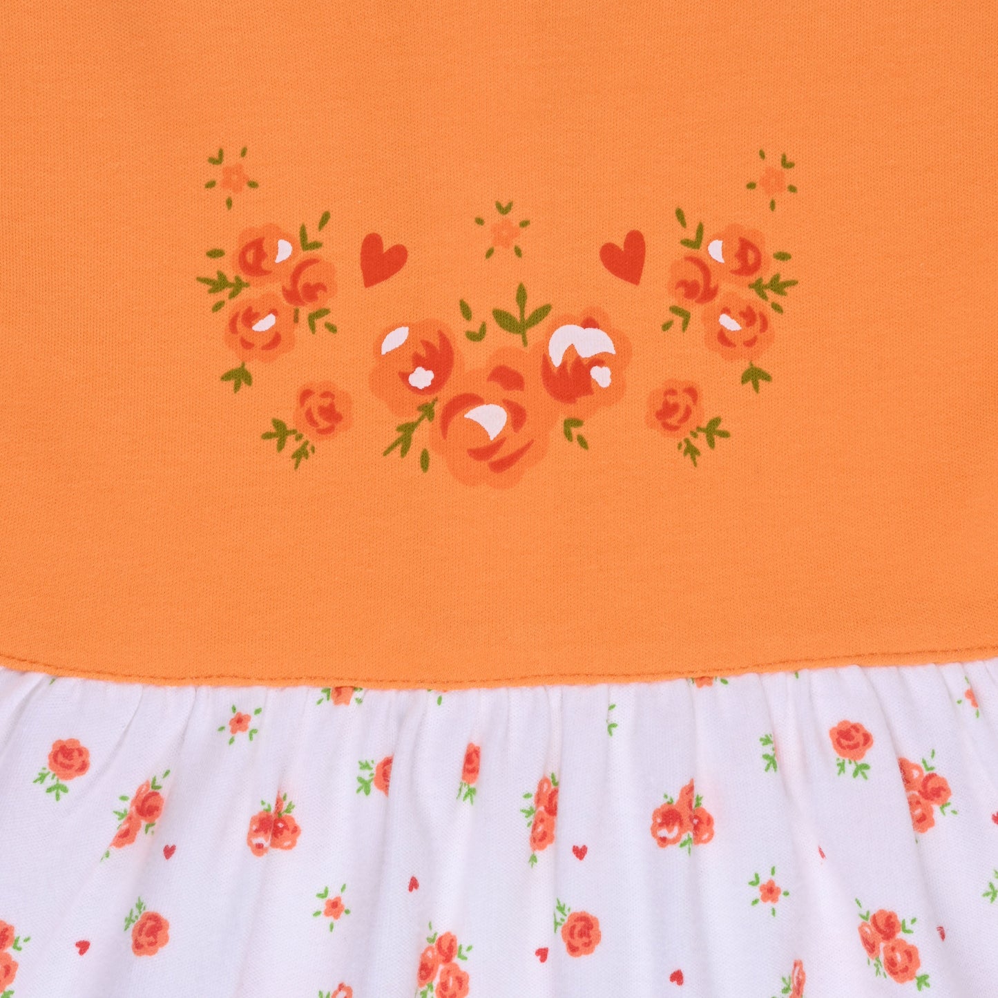 Baby Girls Floral Print A-Line Frock Dress With Brief