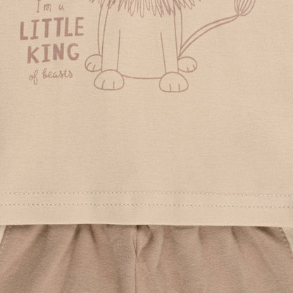 Boys Printed Cotton Tshirt and Shorts Set