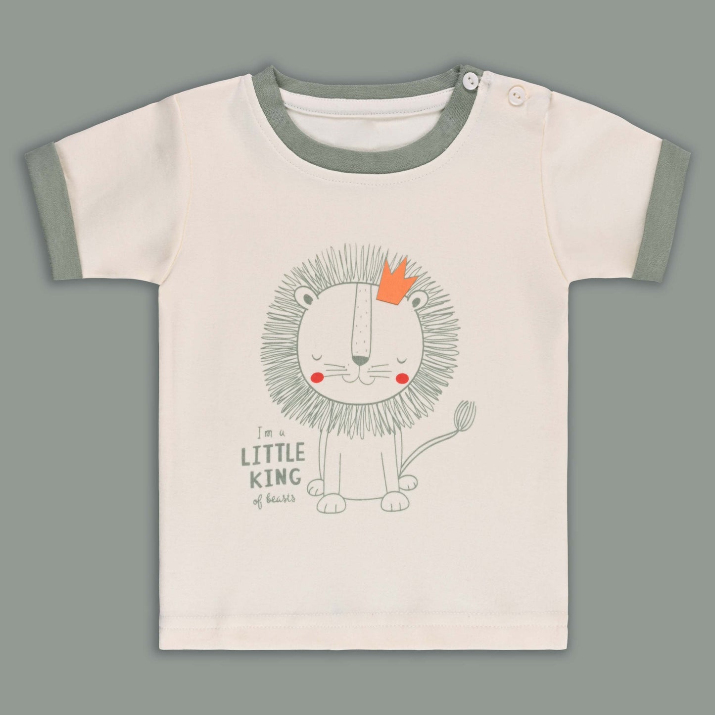 Boys Printed Cotton Tshirt and Shorts Set