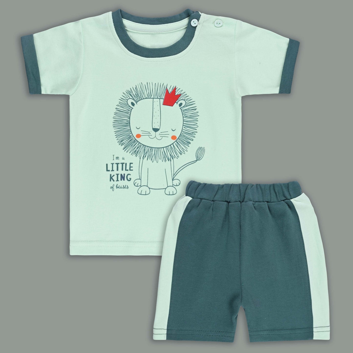 Boys Printed Cotton Tshirt and Shorts Set