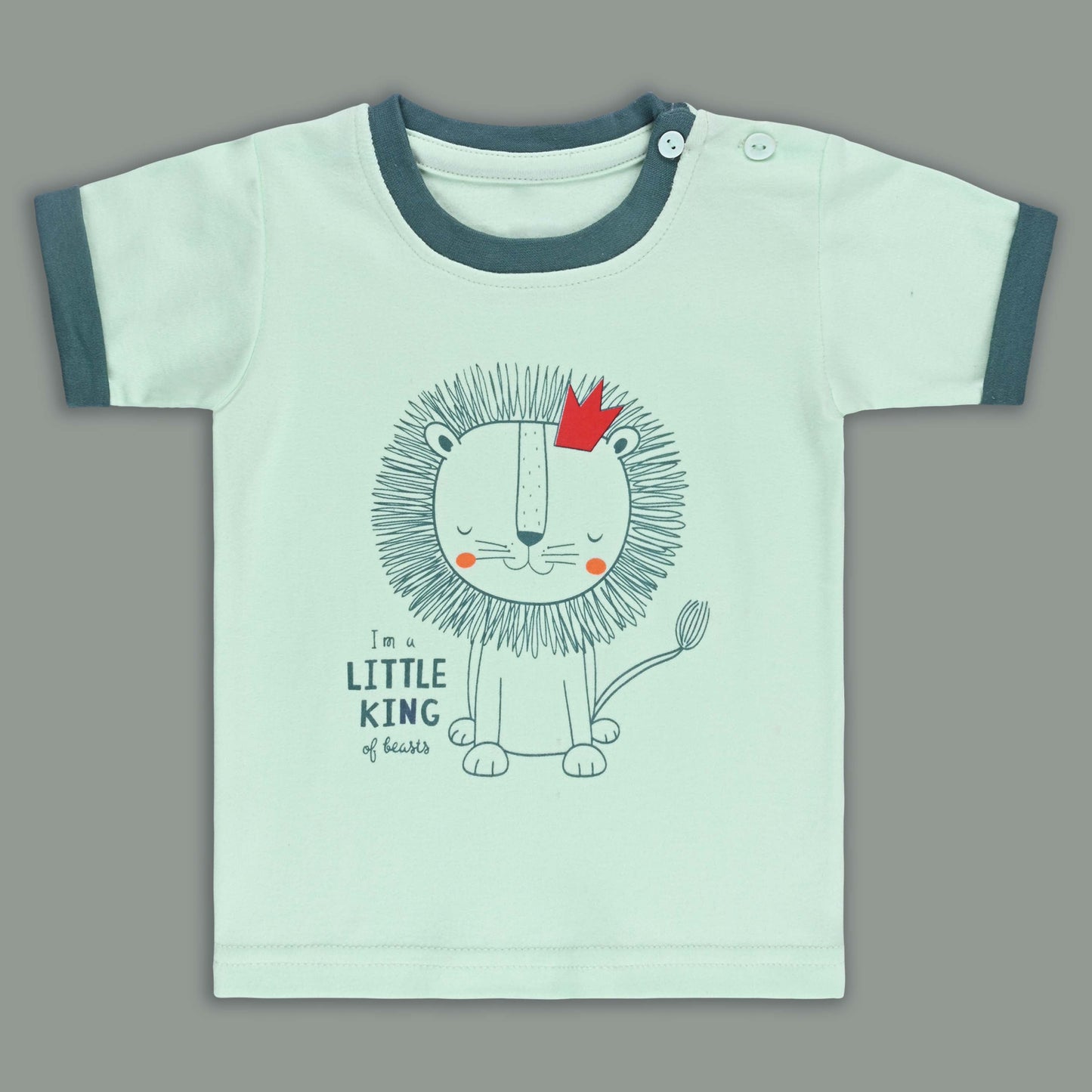 Boys Printed Cotton Tshirt and Shorts Set