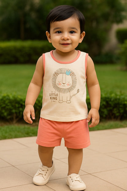 Boys Printed Cotton Tshirt and Shorts Set