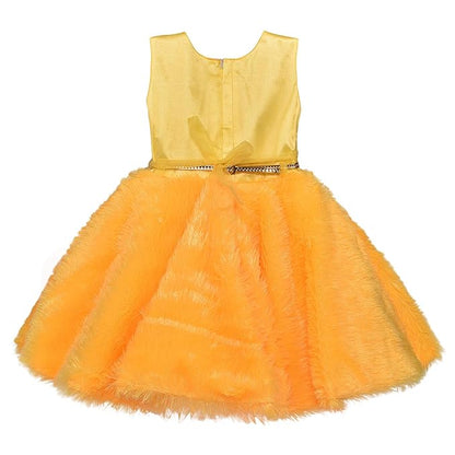 Baby Girls Frock Birthday Dress for Girls