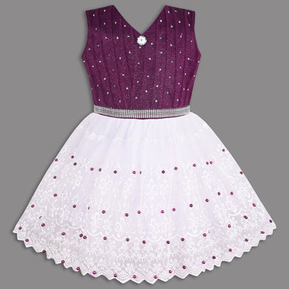 Stylish Net Party Dress for Girls â€“ Sleeveless Design with Embellished Lace and Sparkle Details